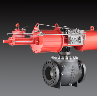Trunnion-mounted Ball Valves